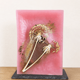 Rosa mit Pusteblume